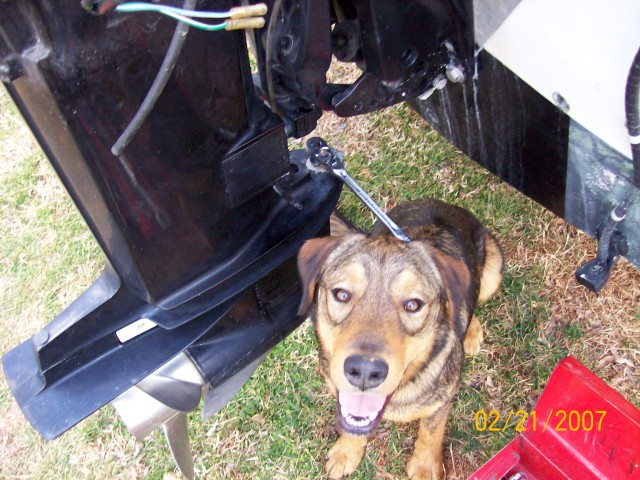 Rocky helping me change the water pump.