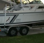 250 Sportsman33a.jpg