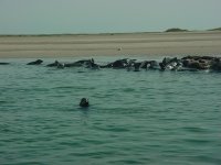 MVC-767F (Medium).JPG