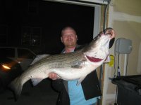 striper002.jpg