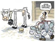 Drycow.jpg
