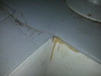 floor crack corner livewell.jpg