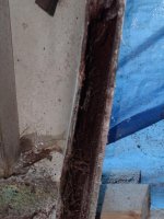 Starboard Transom section.jpg