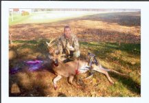 deer2.jpg