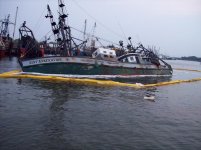 Picture 184.jpg