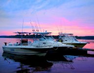 boats - Copy (740x580).jpg