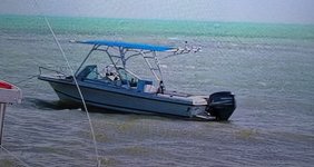 PXL_20250309_031339675.jpg