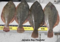 04.18.2012 - Flounder catch.JPG