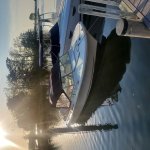 Boat_Floating_3.jpg