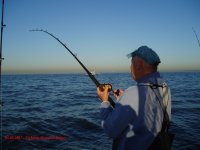 Fighting 42 Inch Striper.jpg