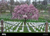 Arlinton National Cemetery.jpg
