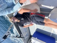 IMG_9129.jpeg
