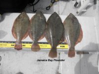 Raunt Channel Flounder catch.JPG