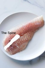 blackfish - Copy.jpg