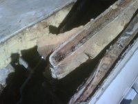 IMG00148-20100901-1709.jpg