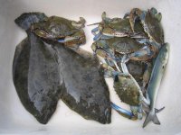 Fldr:crab.jpg