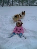 Christmas 2010 024.jpg