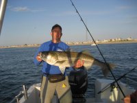 bass_20110604_001.jpg