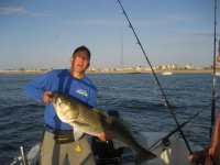 bass_20110604_002.jpg