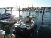 2011-11-7 047_8_1.jpg