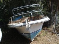 Boat#2.jpg
