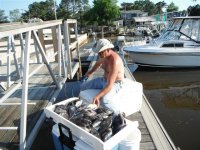 2012_seabass 008.jpg