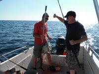 Bluefin_2012 011_1_1.jpg