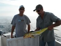 2012_07_Mahi 004.jpg