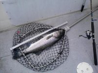 20121026_001_1_1.jpg