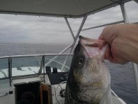 20121026_002_2_1.jpg
