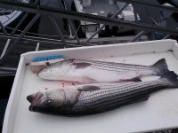 20121026_003_3_1.jpg