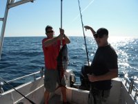 Bluefin_2012 012_2_1.jpg