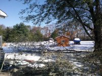 post-Sandy snow_1_1.jpg
