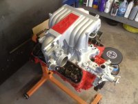 IMG_1341[1].jpg