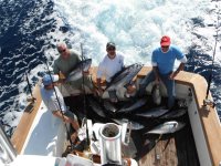 Toms Canyon tuna.jpg