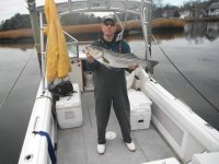 2013 fall bass01.jpg