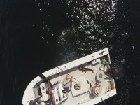cobia-snapper-drone-Greefe.jpg