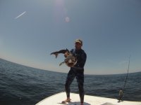 hh cobia.jpg