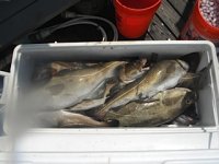 COD 2014 - 11.jpg