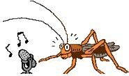 Crickets-chirping.jpg