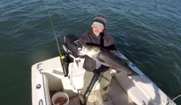 Bass2014-11-3.jpg