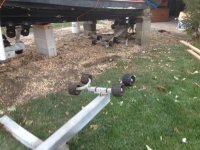 close uo of blocked boat[1].jpg