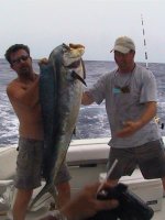 34 lb dolphin-3.jpg