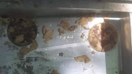 holes in fuel tank bottomf.jpg