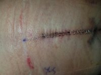 20170731_134858.jpg