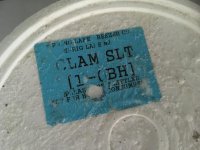 salt clam_00002.jpg