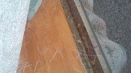 IMG_20170928_123923.jpg