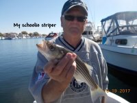 10.19.2017 - My schoolie striper.JPG