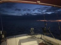 IMG_2282.jpg