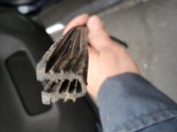 20181019_101535.jpg
